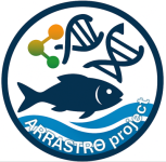 Proyecto Arrastro