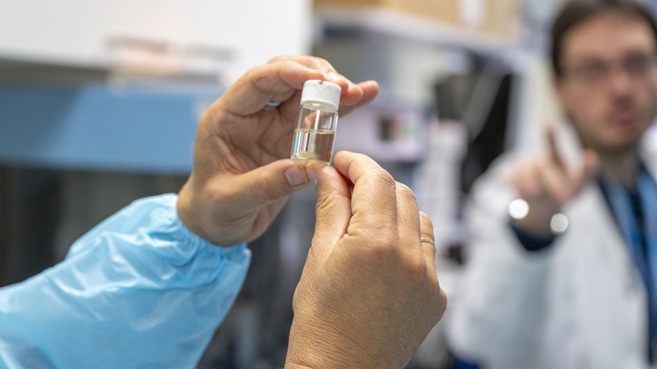 Semana de la Ciencia en el IiSGM