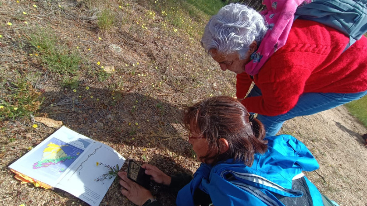 Fotografía en la que se ve a dos personas en el campo fotografiando una planta para identificarla con la aplicación iNaturalist
