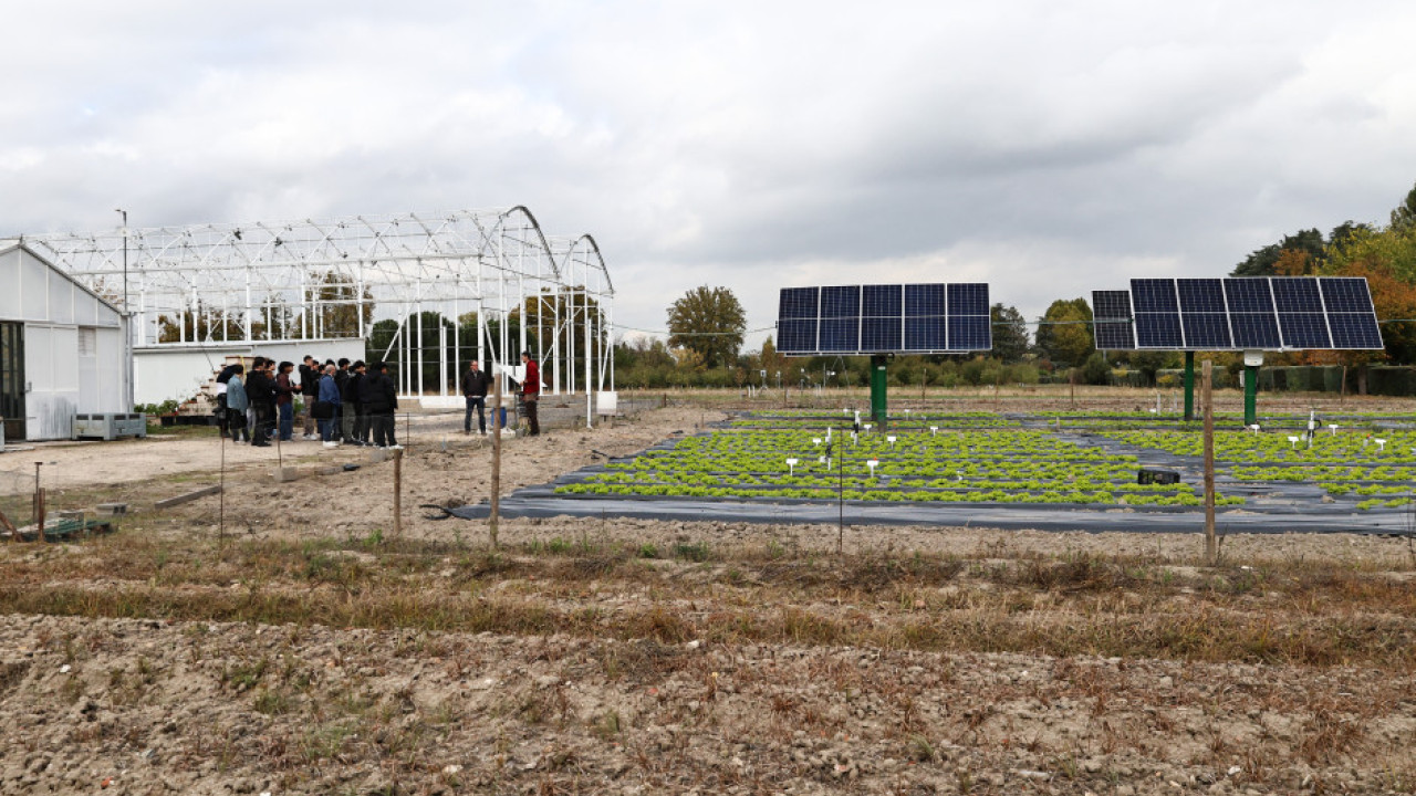 Actividades en la Universidad Politécnica de Madrid