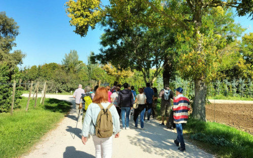 Vivero municipal Casa de Campo