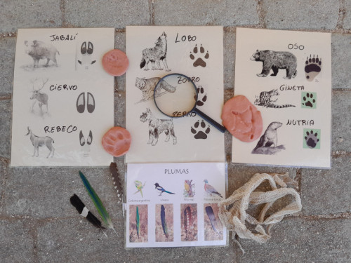 Materiales del taller "Tras la huella animal"