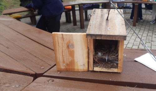 Caja nido para aves