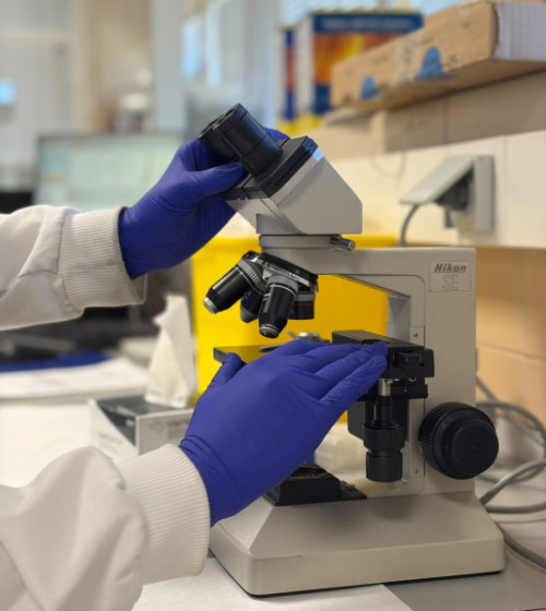 Primer Plano de microscopio