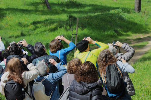 Ruta ornitológica por la Dehesa de la Villa