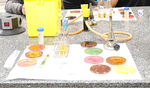 Materiales de laboratorio