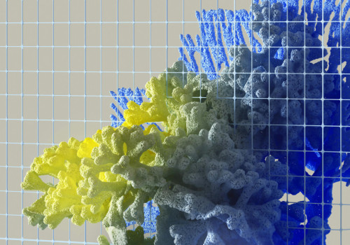 semana de la ciencia