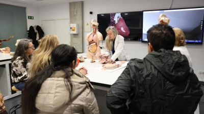 Anatomía